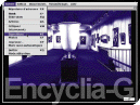 Encyclia-G